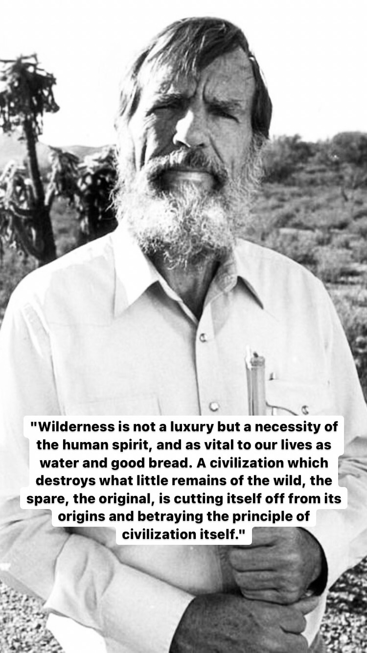 Photo of Edward Abbey