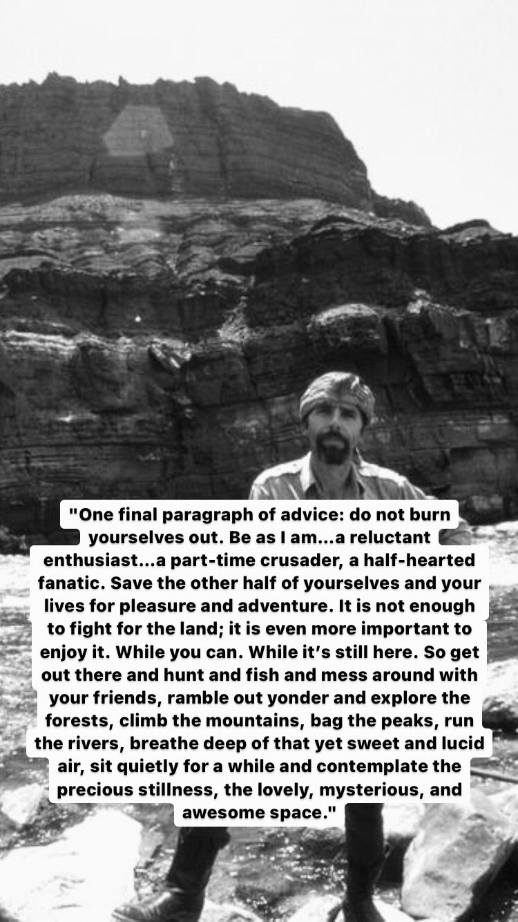 Photo of Edward Abbey