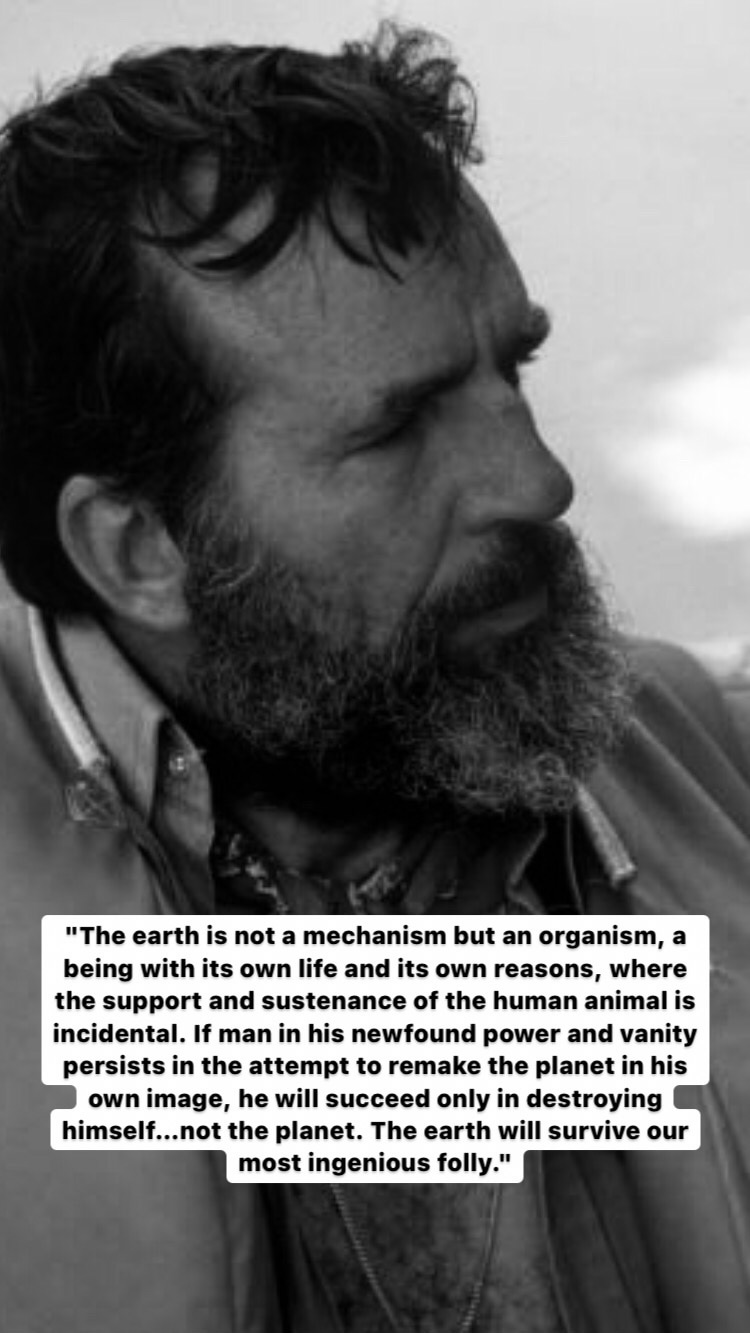 Photo of Edward Abbey