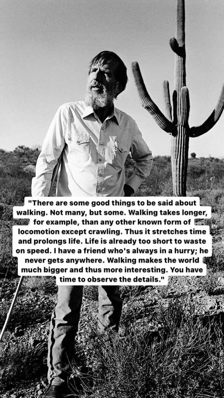 Photo of Edward Abbey