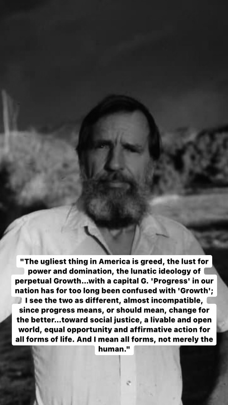Photo of Edward Abbey