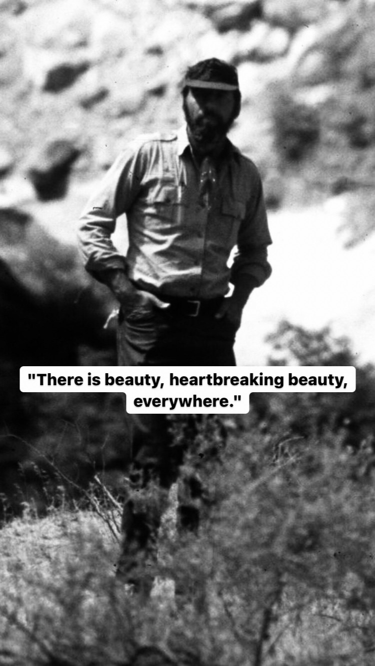 Photo of Edward Abbey