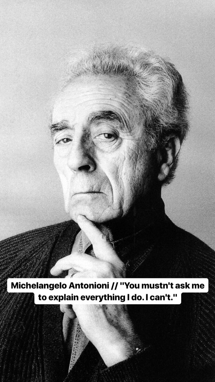 Photo of Michelangelo Antonioni