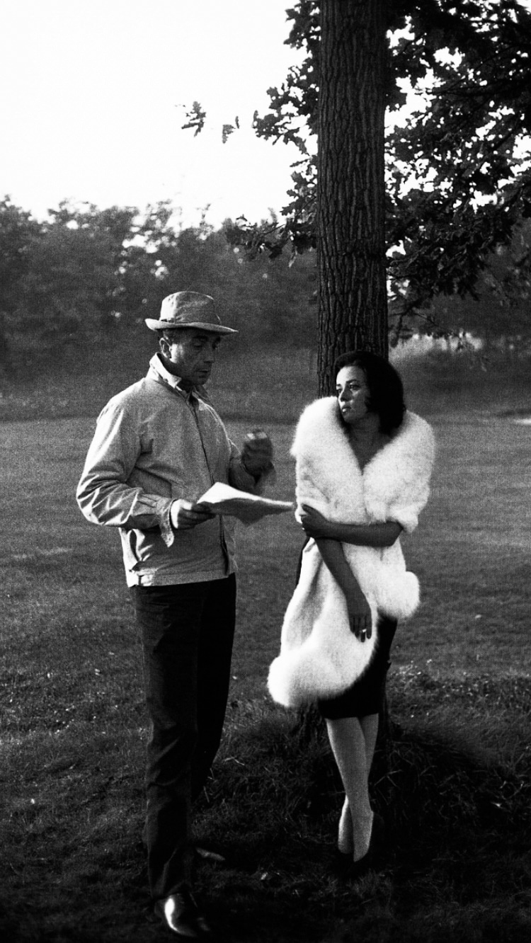 Photo of Michelangelo Antonioni