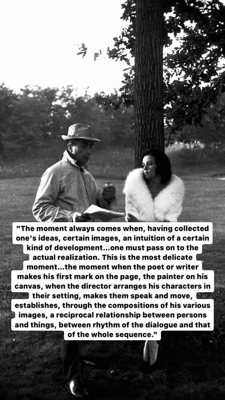 Photo of Michelangelo Antonioni