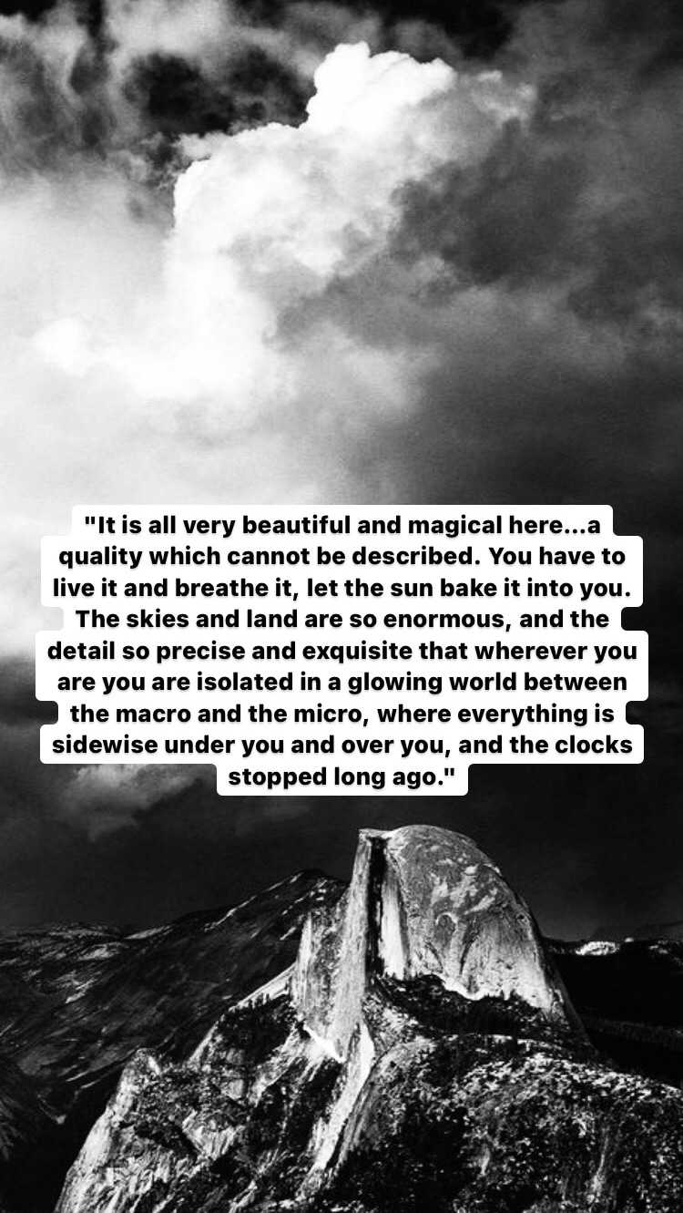 Photo of Ansel Adams