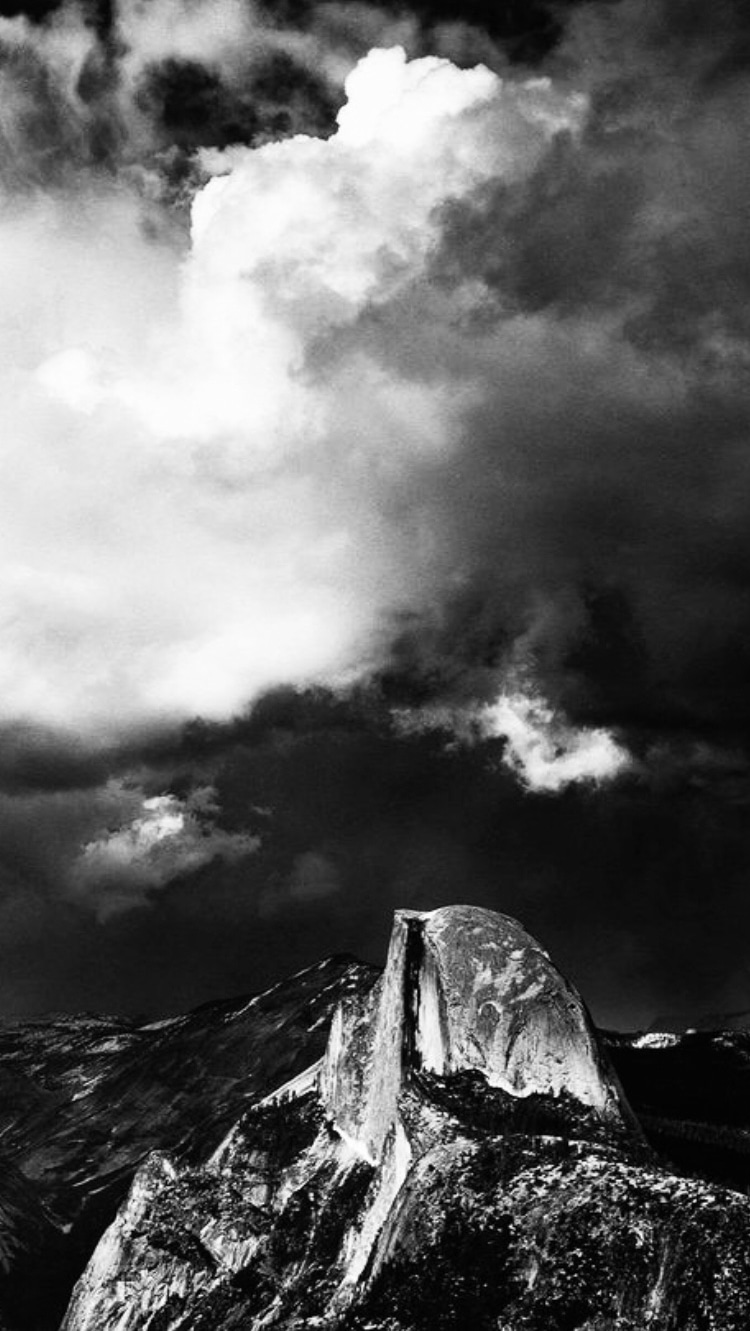 Photo of Ansel Adams