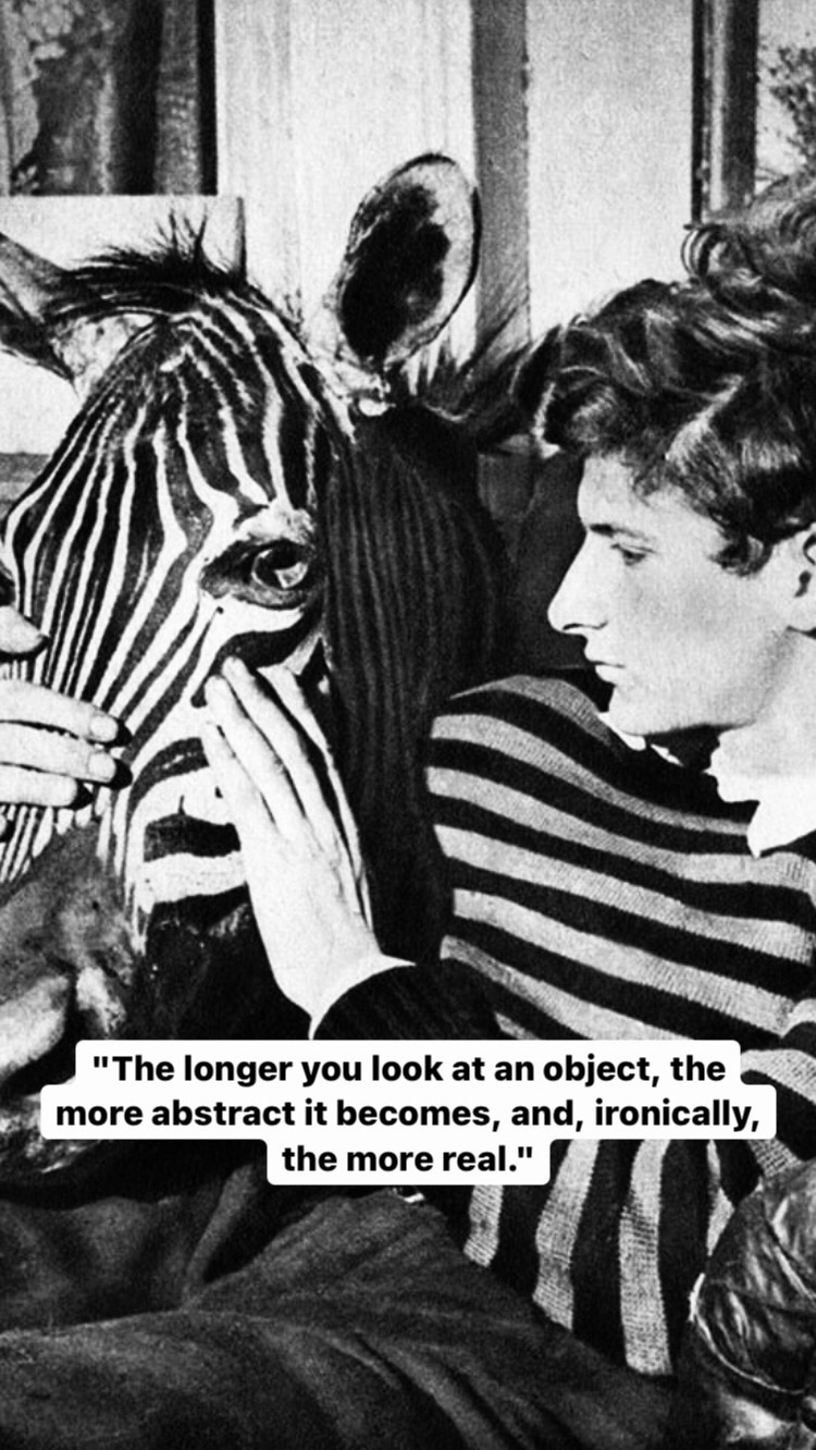 Photo of Lucian Freud