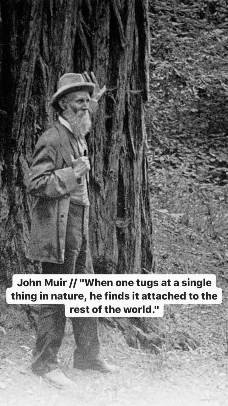 Photo of John Muir