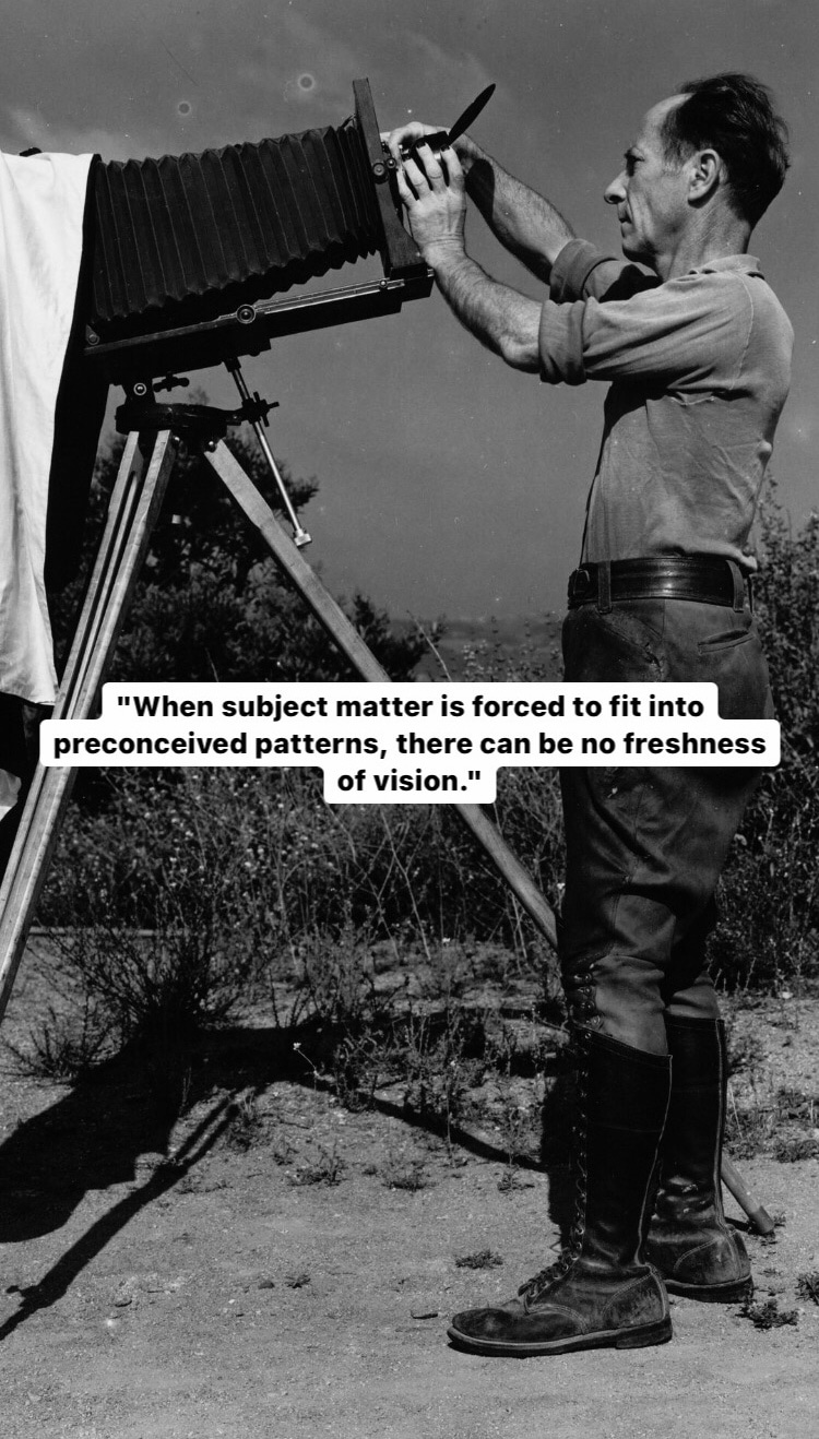 Photo of Edward Weston