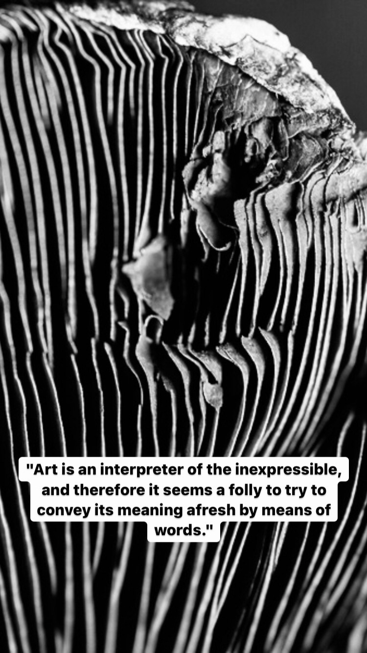Photo of Edward Weston
