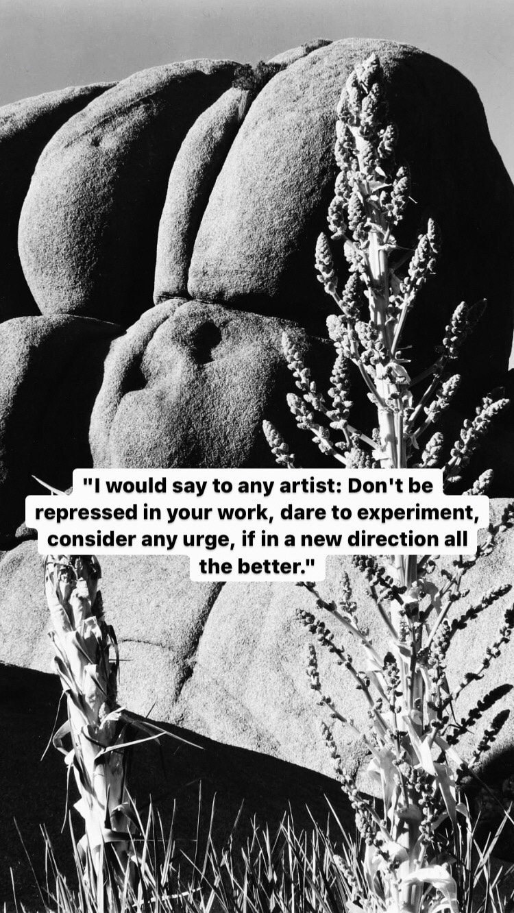 Photo of Edward Weston