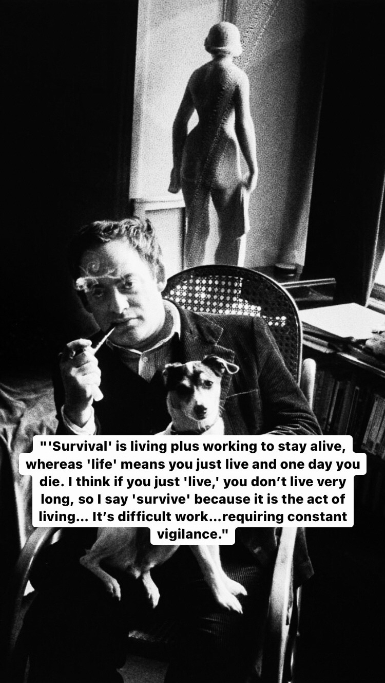 Photo of Roland Topor