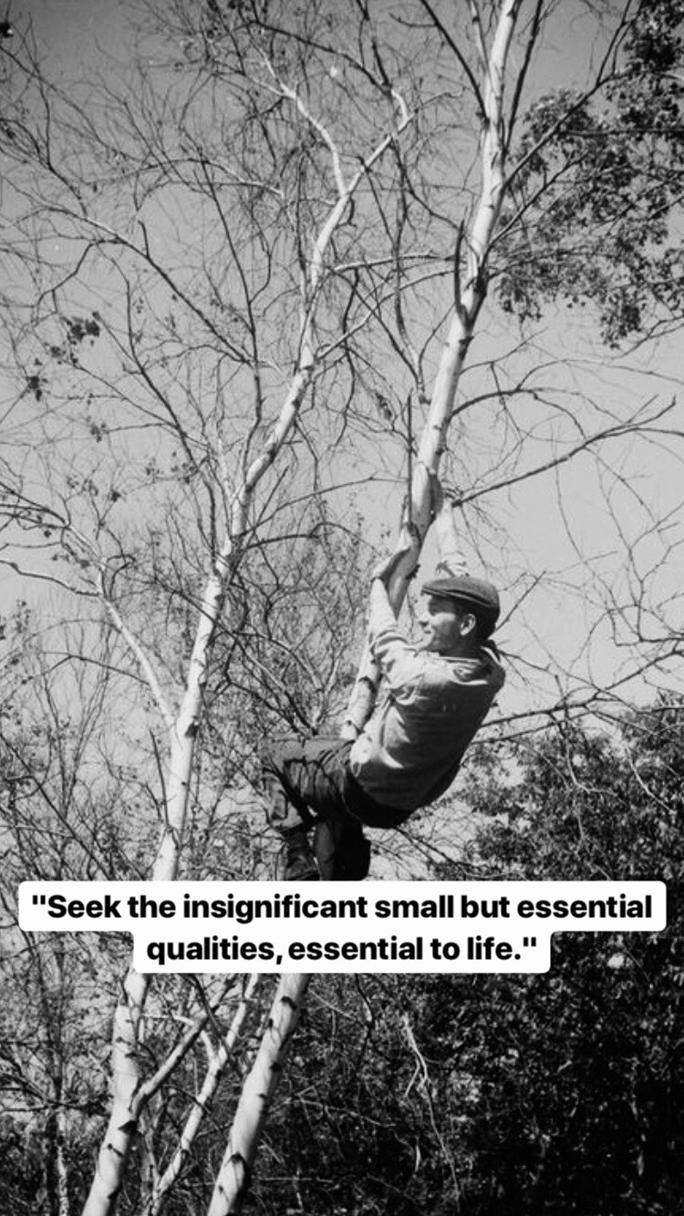 Photo of Jonas Mekas