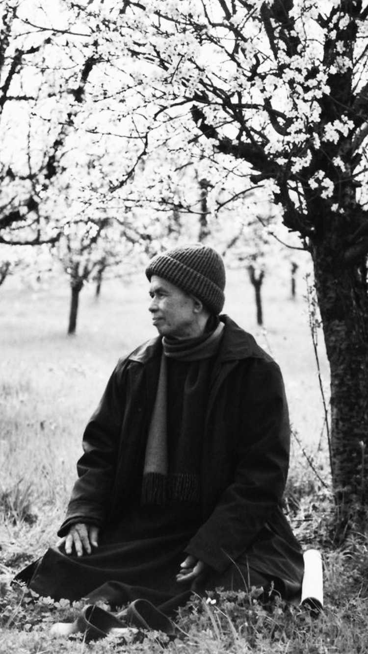 Photo of Thich Nhat Hanh