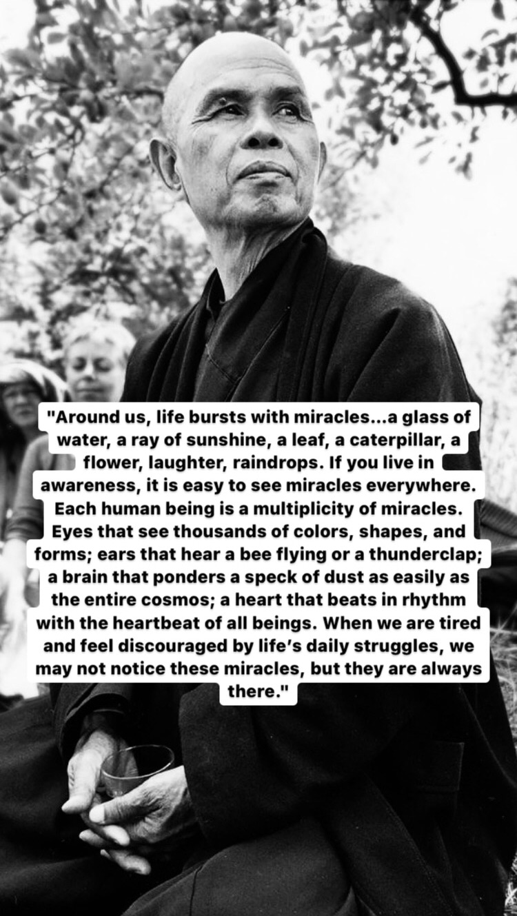 Photo of Thich Nhat Hanh