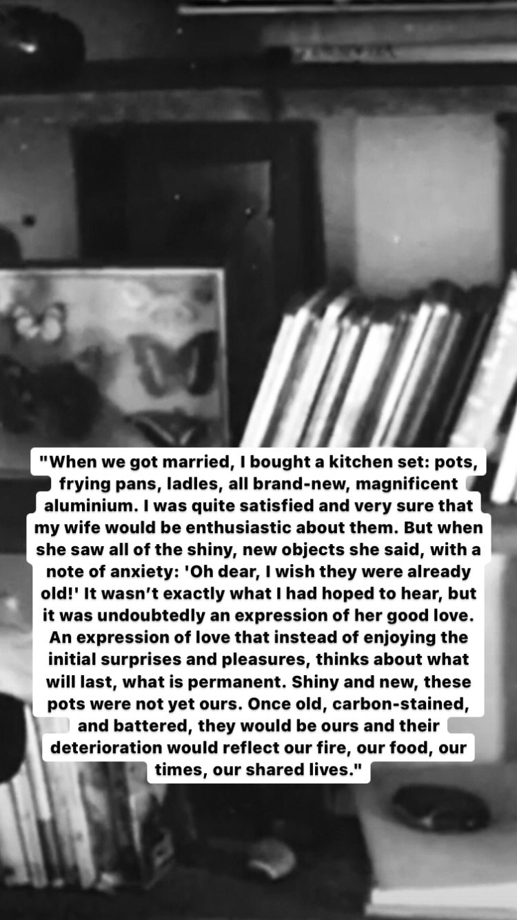 Photo of Josefina Vicens