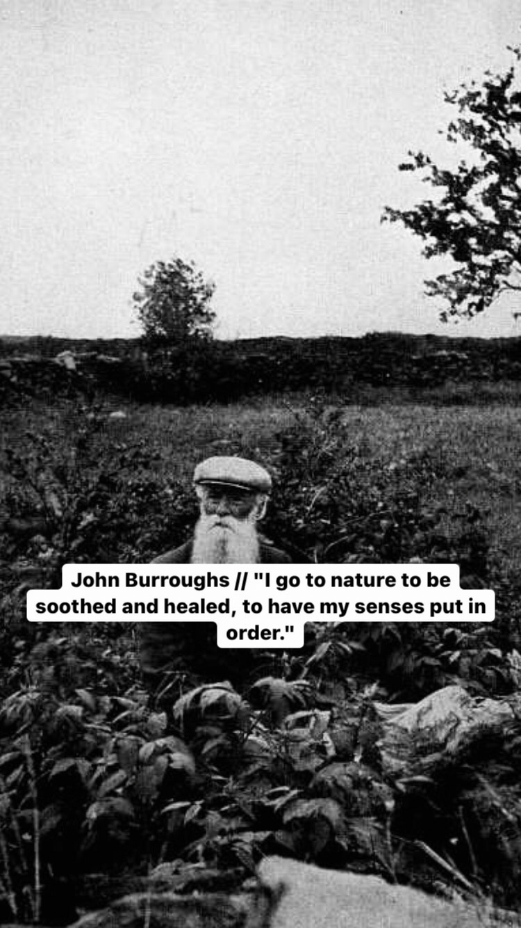 Photo of John Burroughs