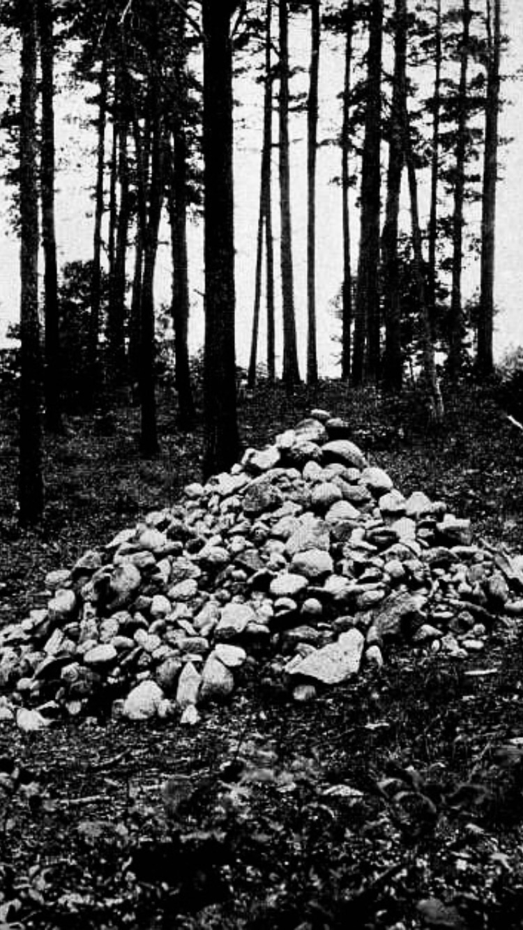 Photo of John Burroughs