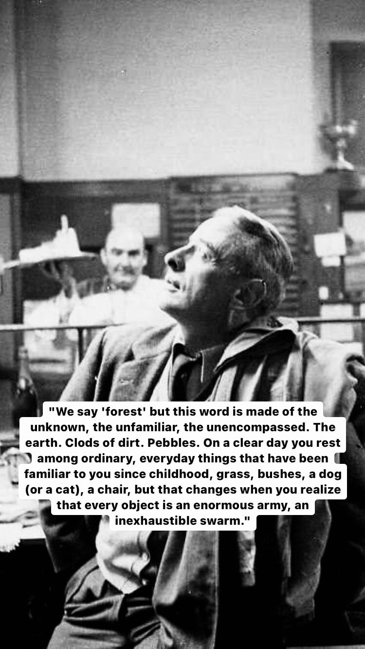 Photo of Witold Gombrowicz