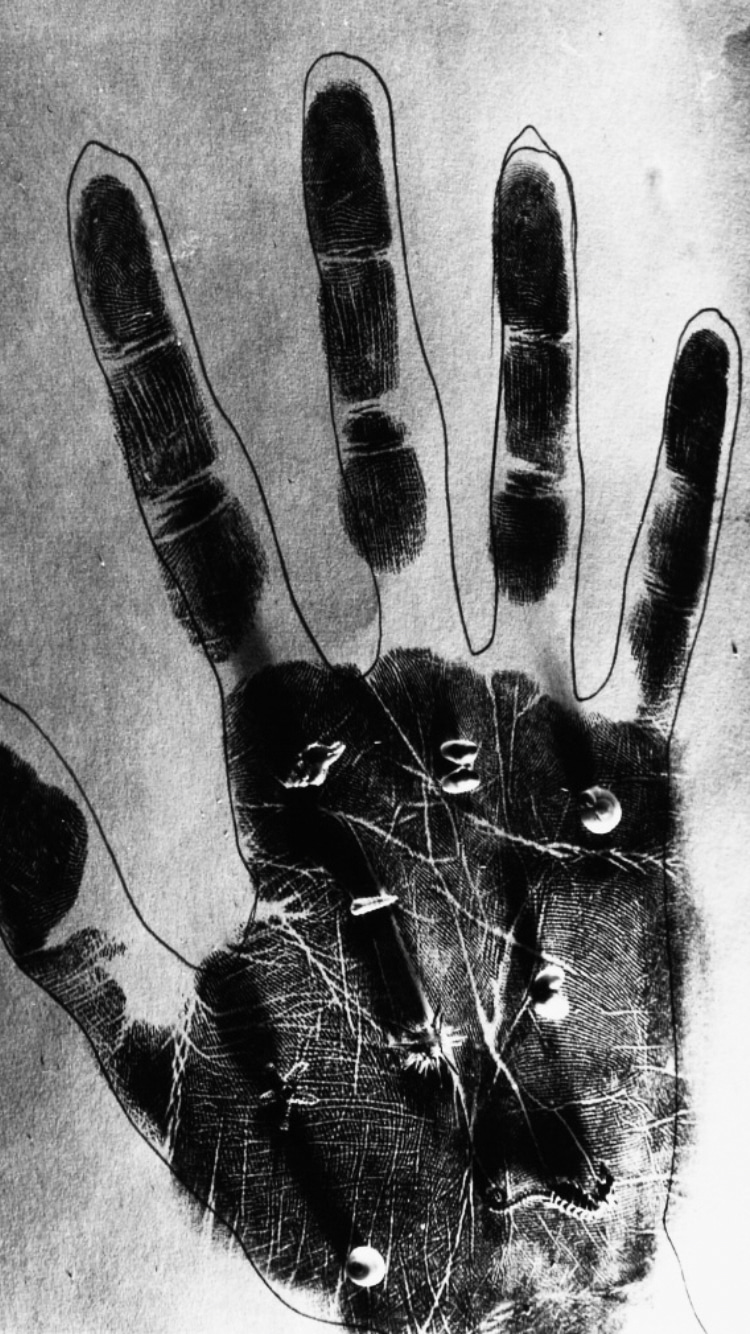 Photo of Ruth Bernhard