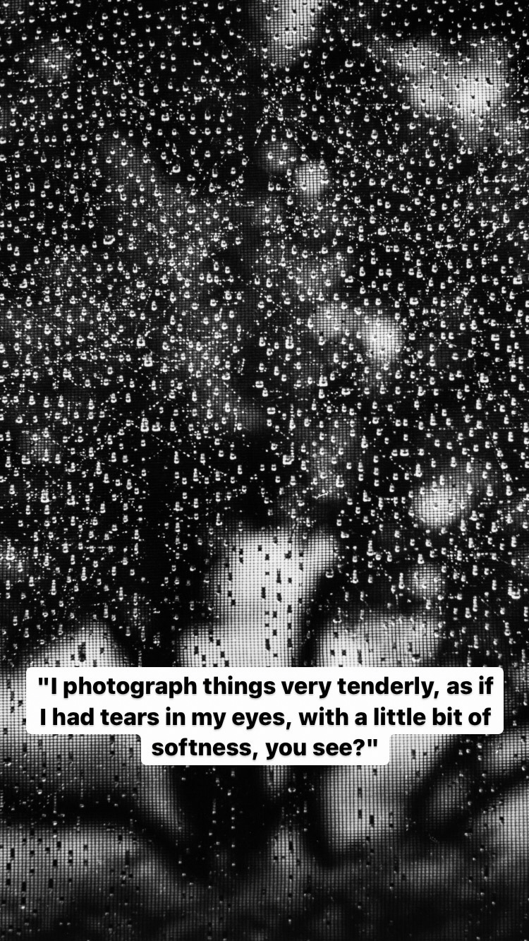 Photo of Ruth Bernhard