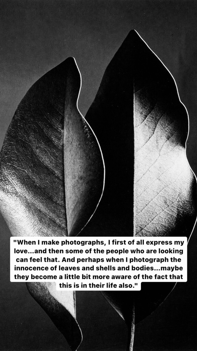 Photo of Ruth Bernhard