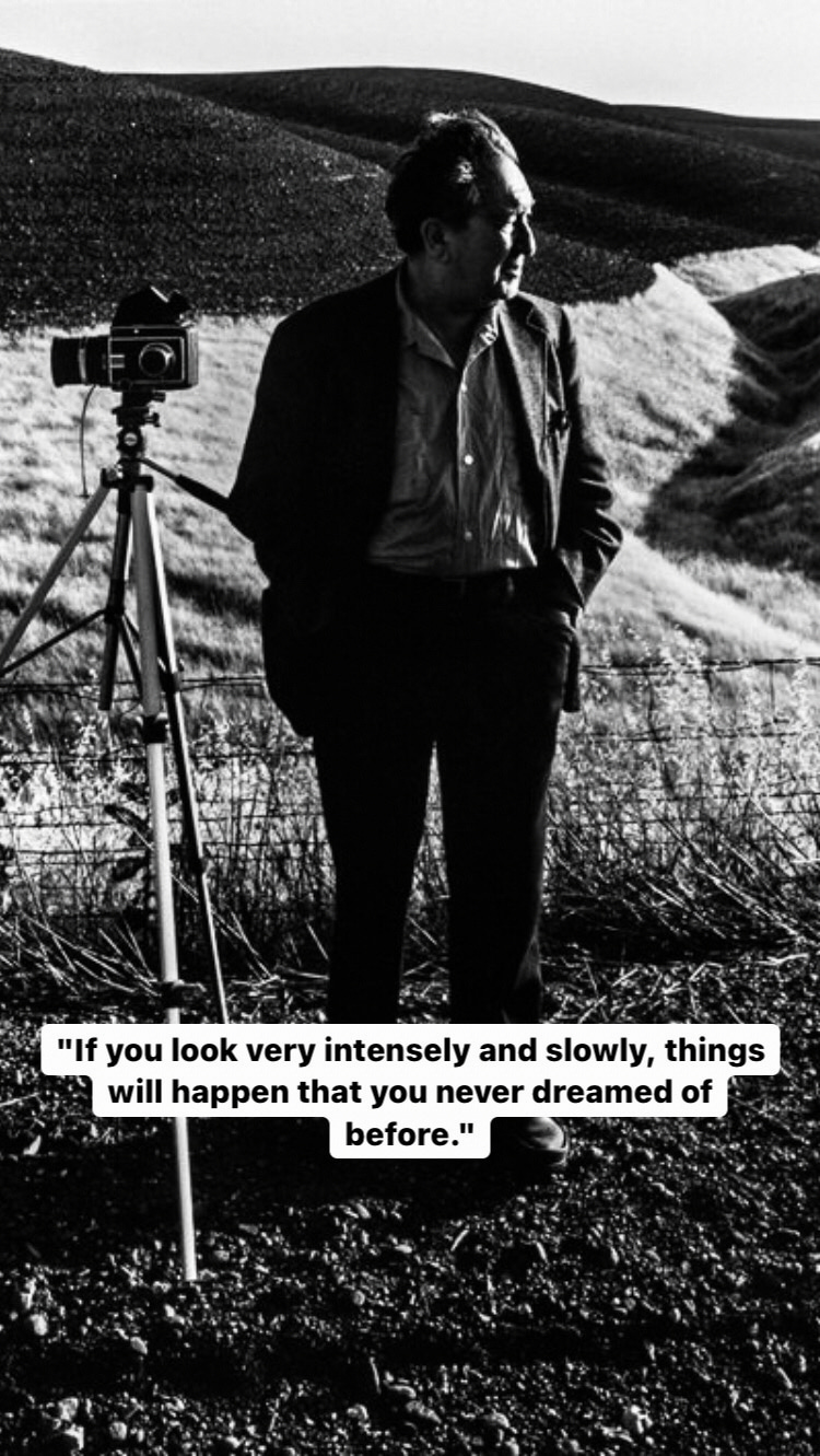 Photo of Aaron Siskind