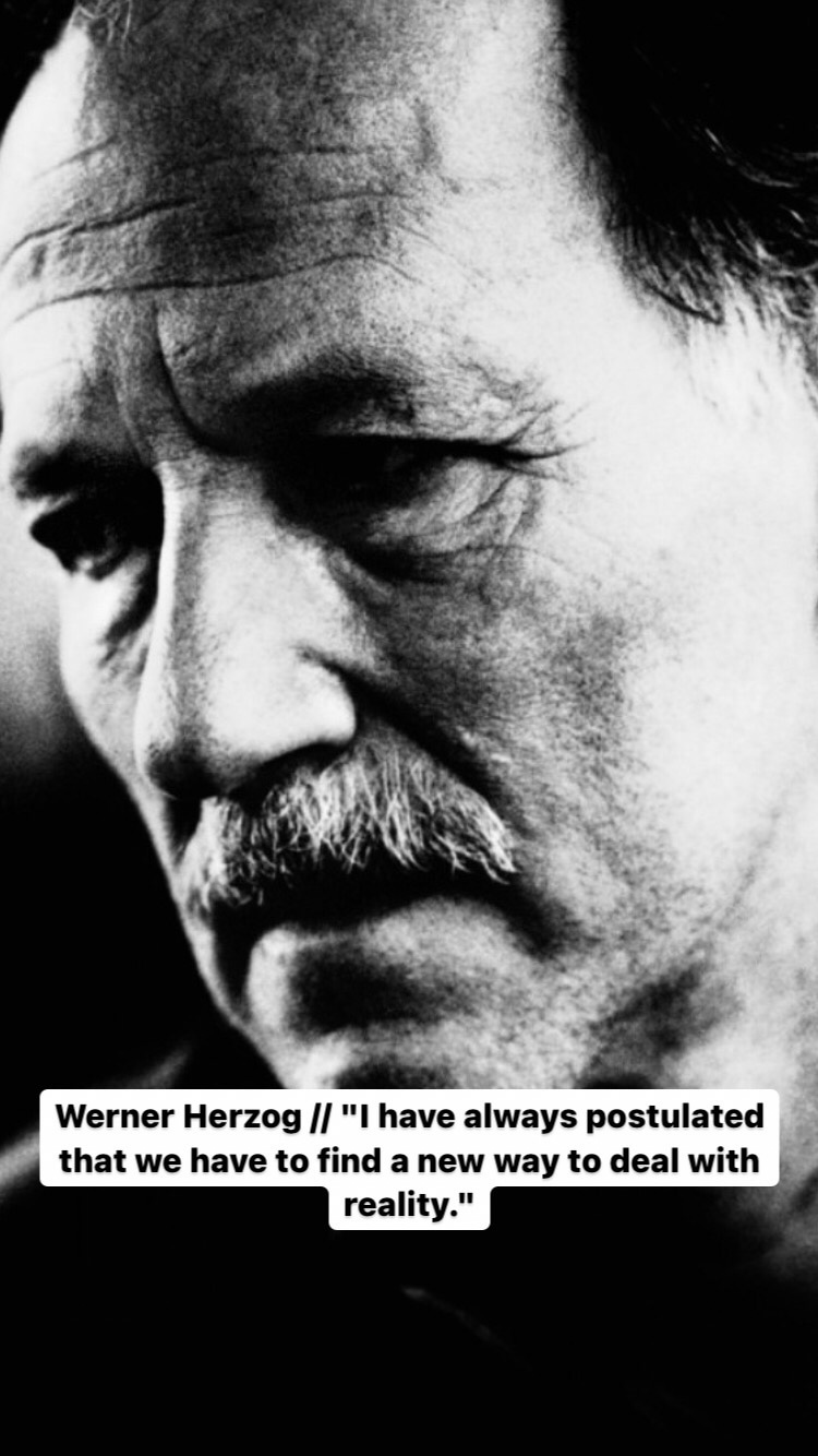 Photo of Werner Herzog
