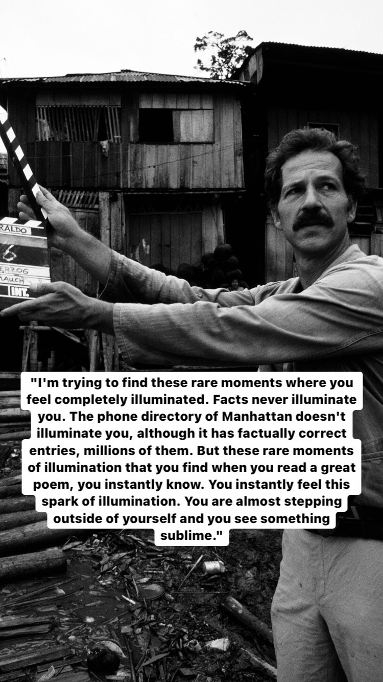 Photo of Werner Herzog