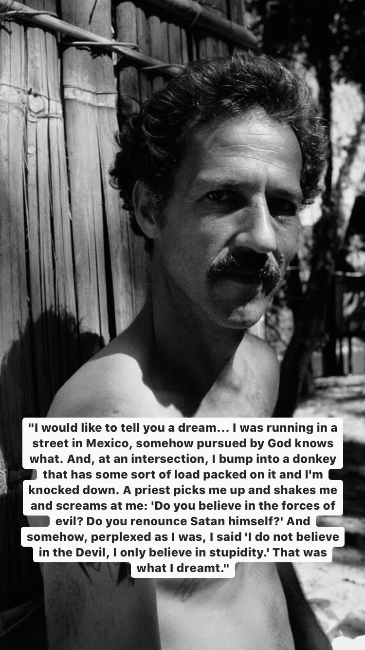 Photo of Werner Herzog