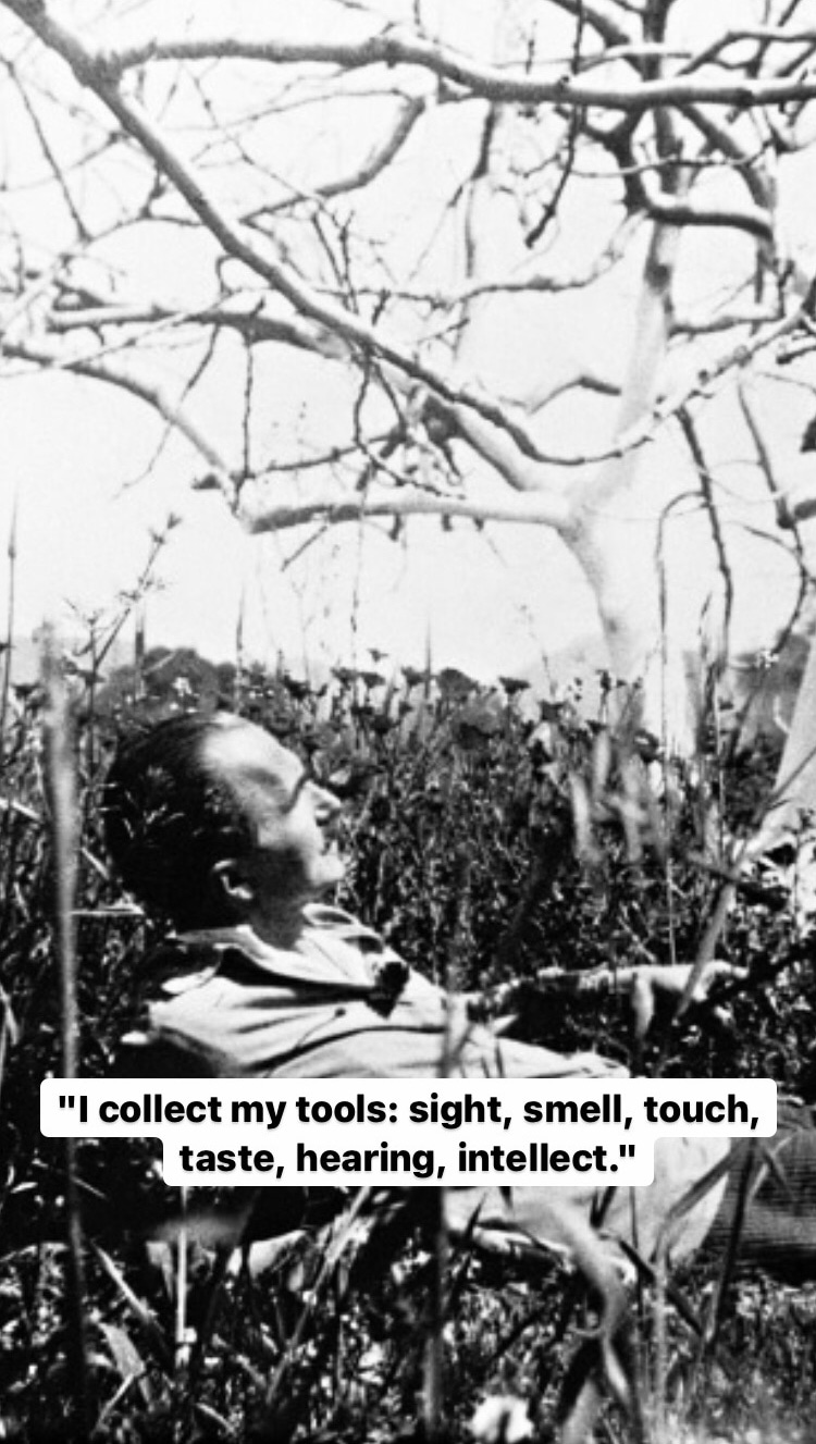 Photo of Nikos Kazantzakis