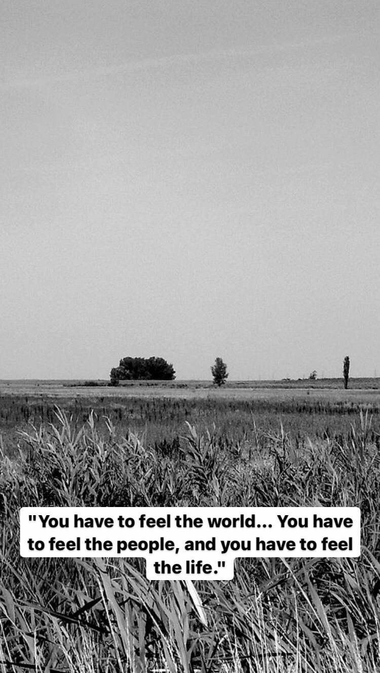 Photo of Béla Tarr