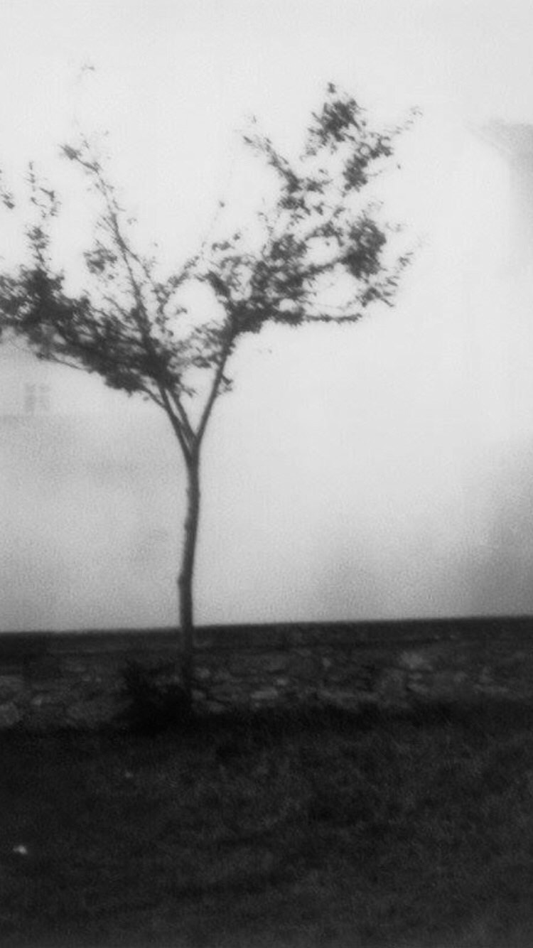 Photo of Andrei Tarkovsky