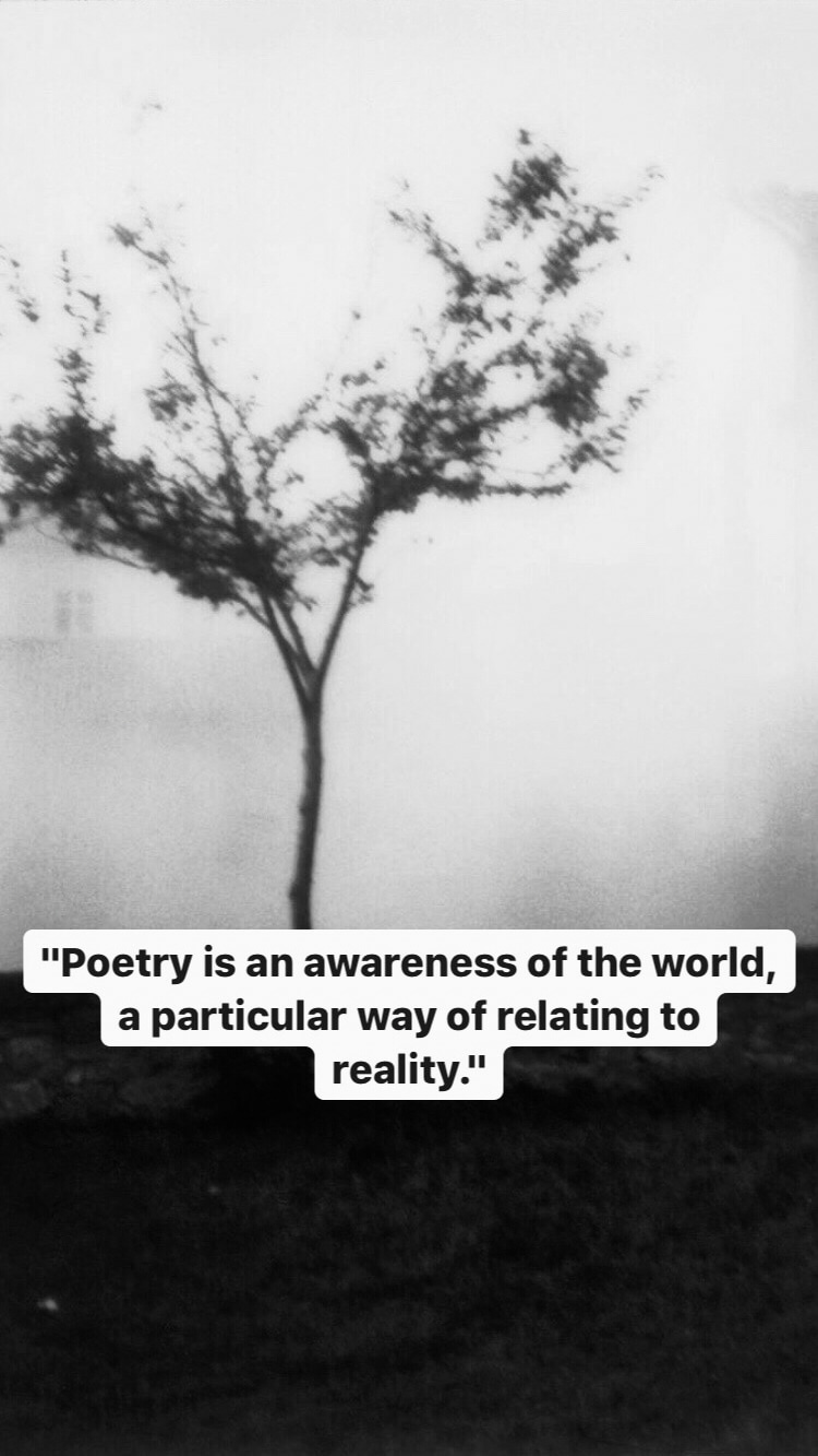 Photo of Andrei Tarkovsky