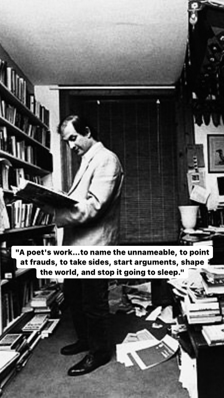 Photo of Salman Rushdie