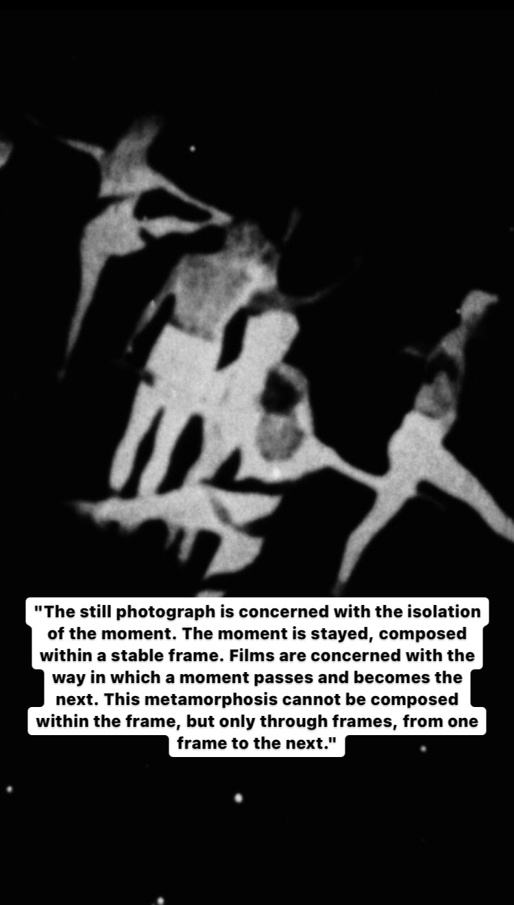 Photo of Maya Deren