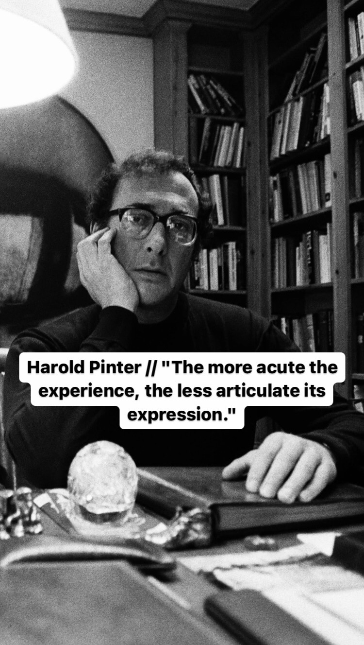 Photo of Harold Pinter