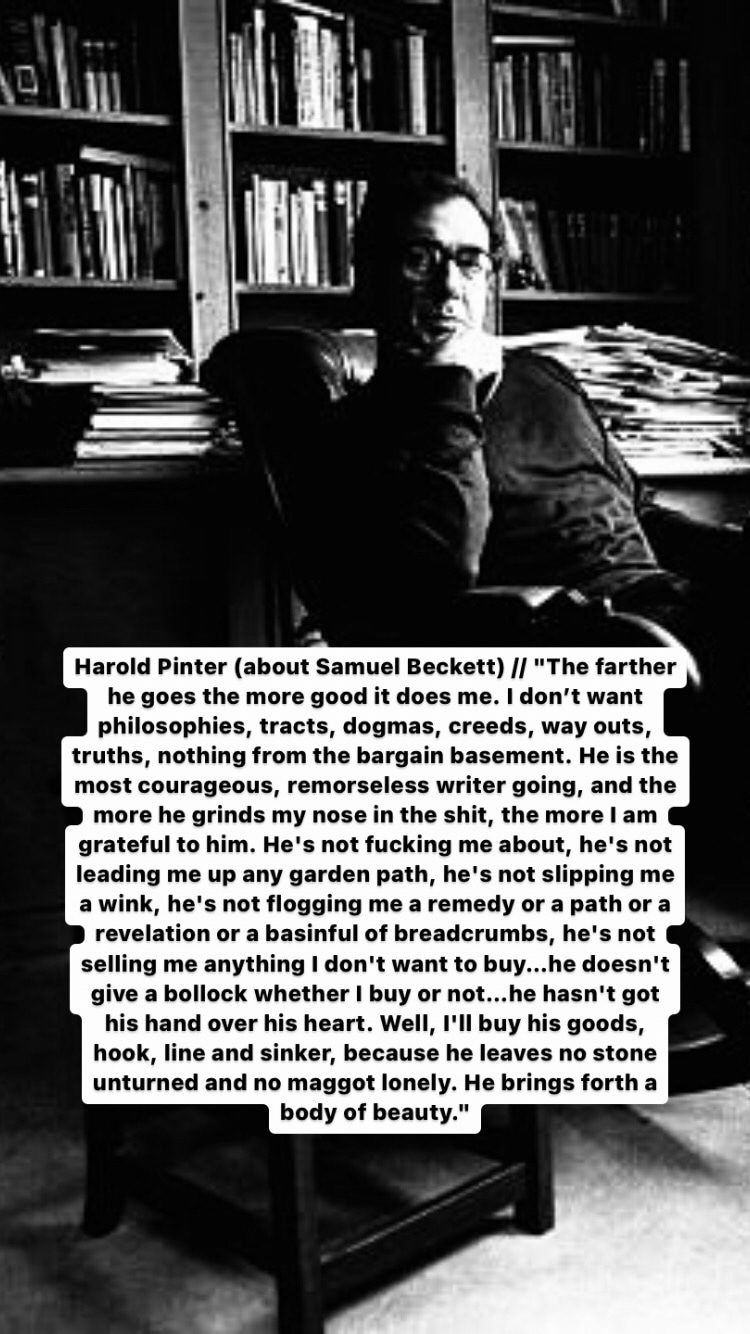 Photo of Harold Pinter