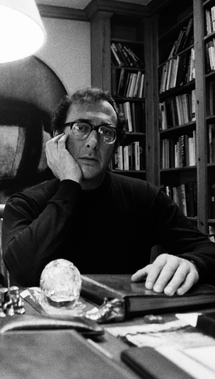 Photo of Harold Pinter