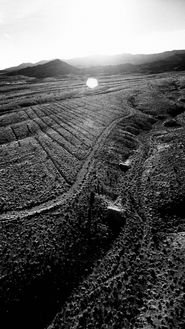 Photo of Emmet Gowin