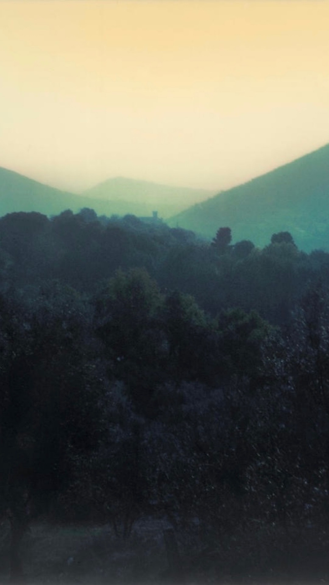 Photo of Andrei Tarkovsky