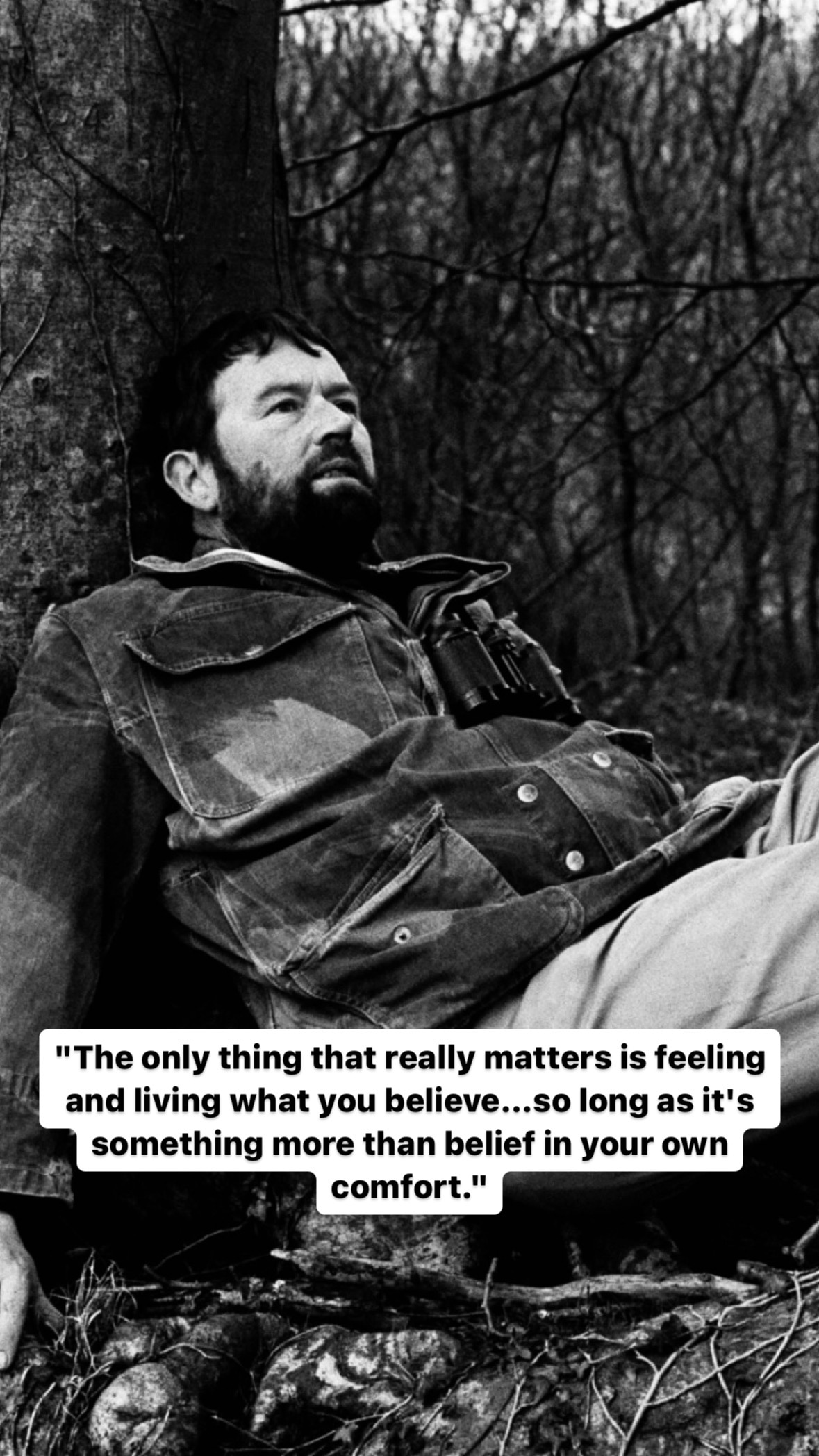 Photo of John Fowles