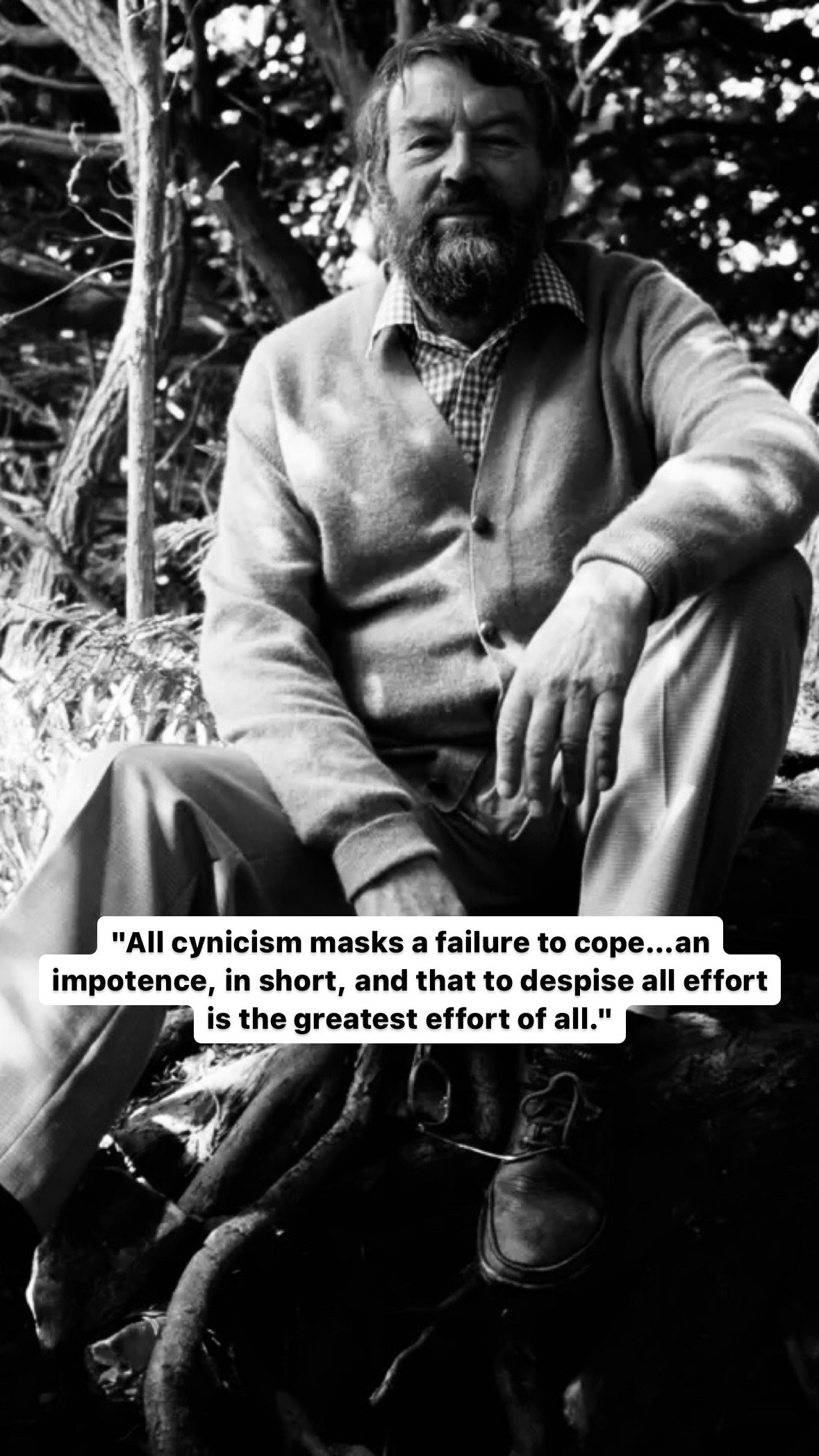 Photo of John Fowles