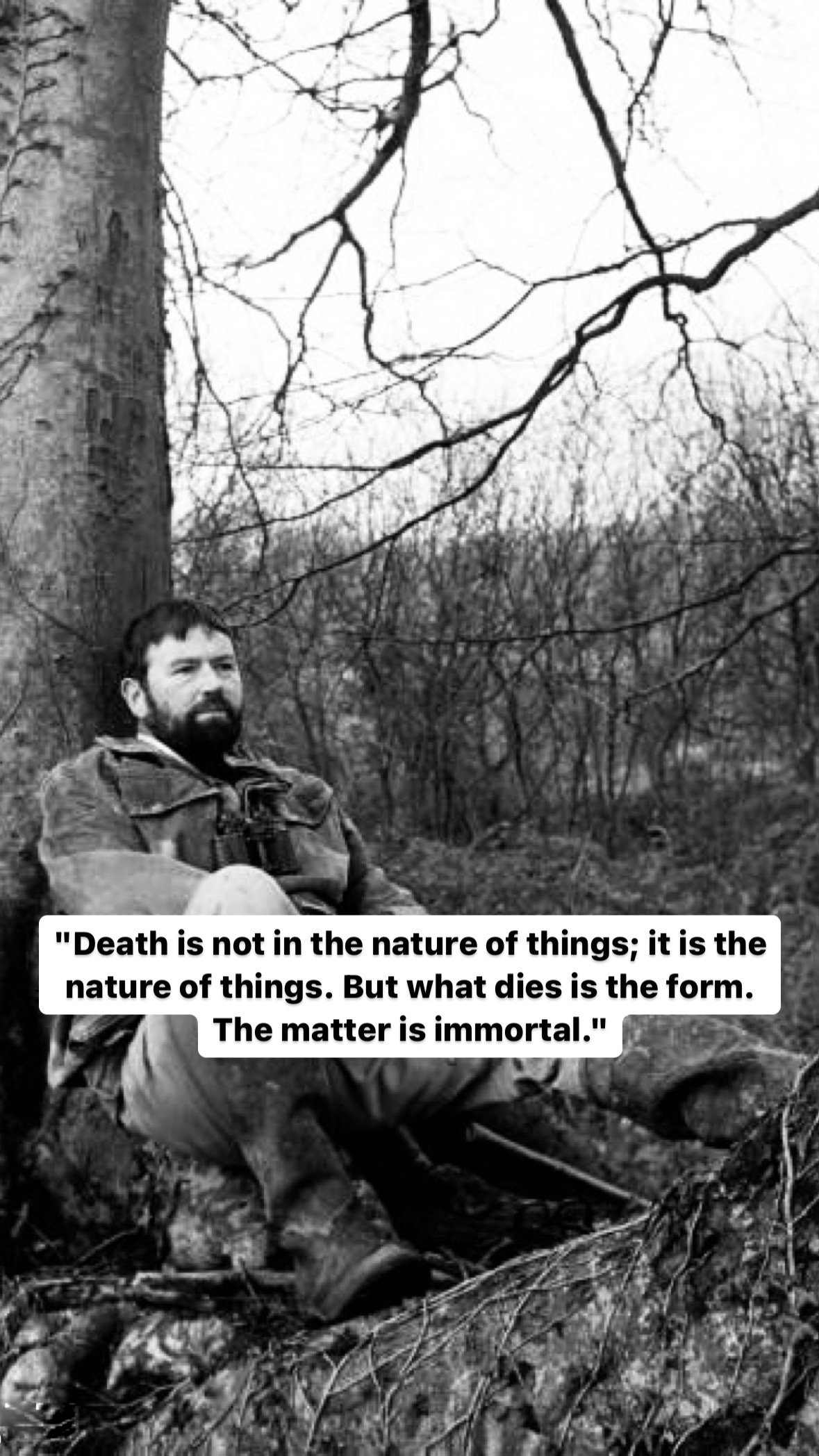 Photo of John Fowles