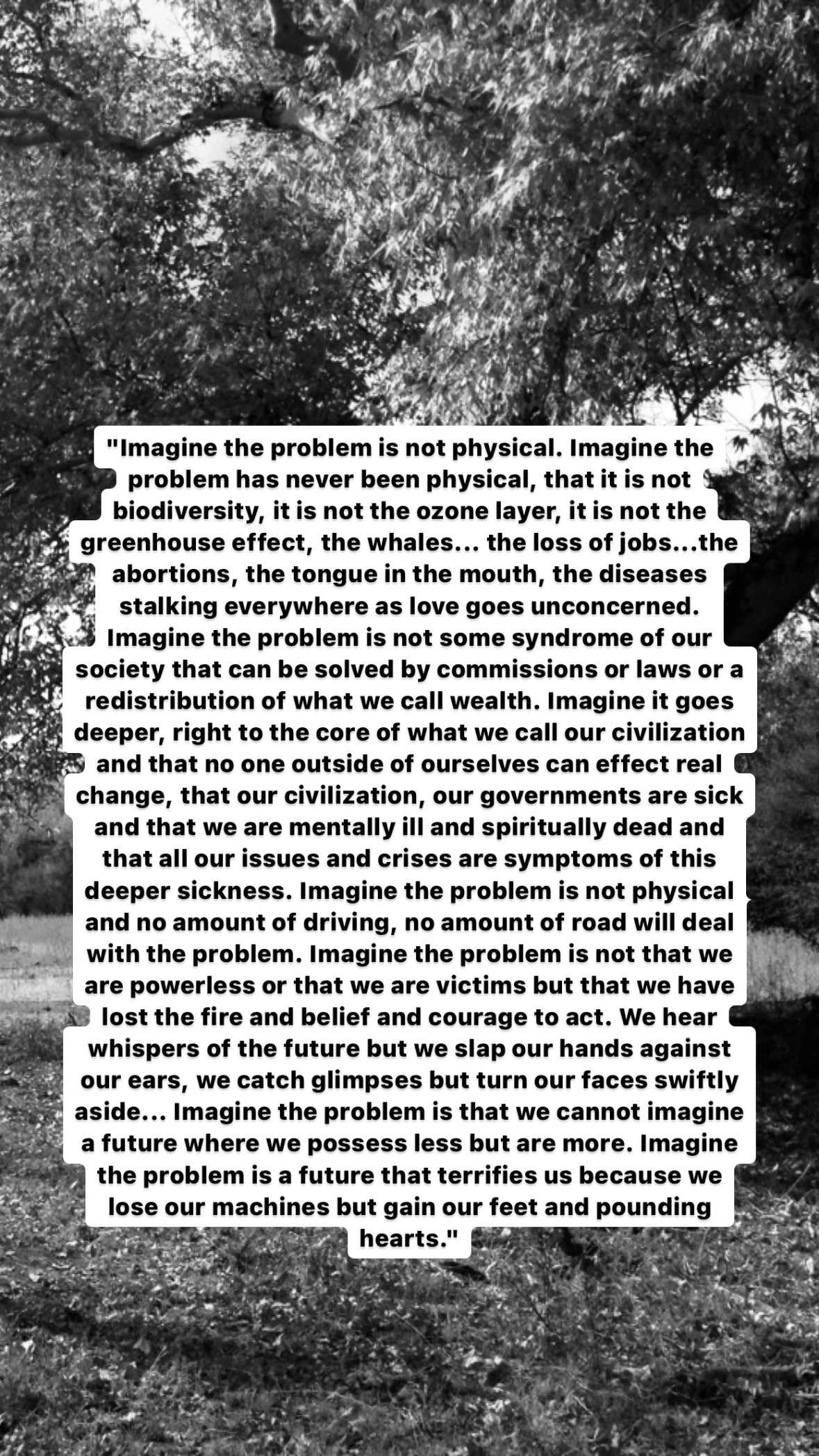 Photo of Charles Bowden