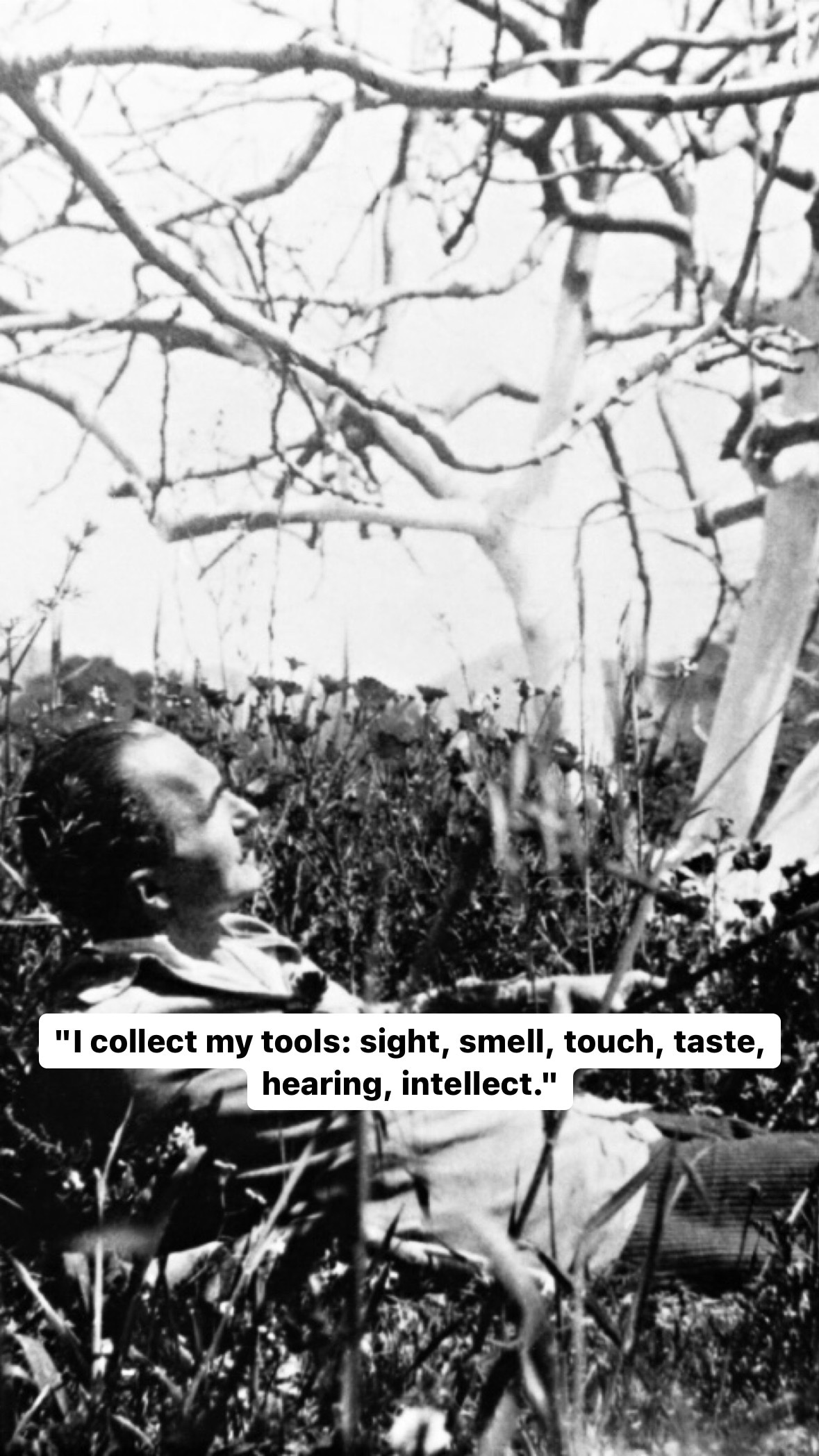 Photo of Nikos Kazantzakis