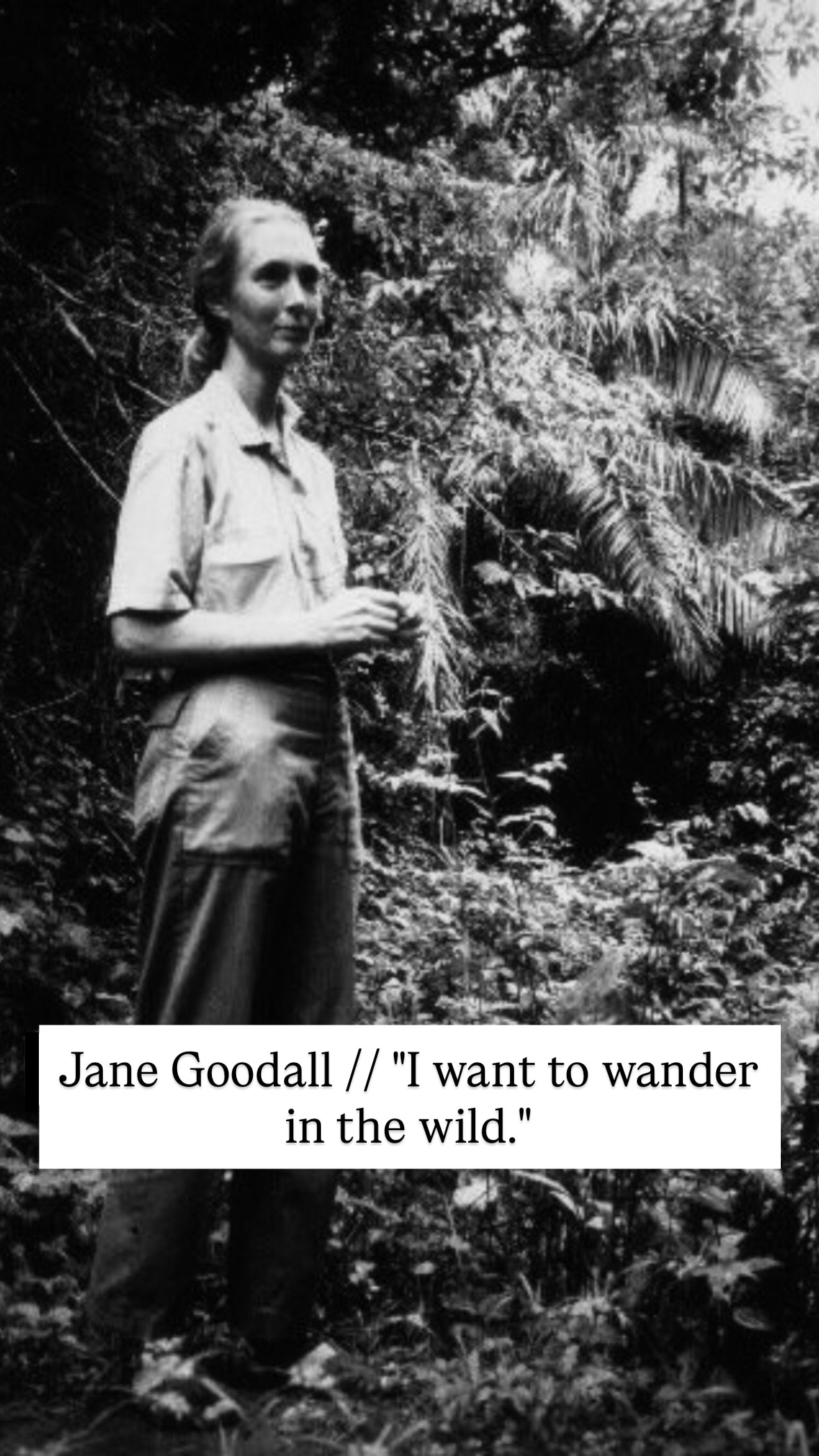 Photo of Jane Goodall