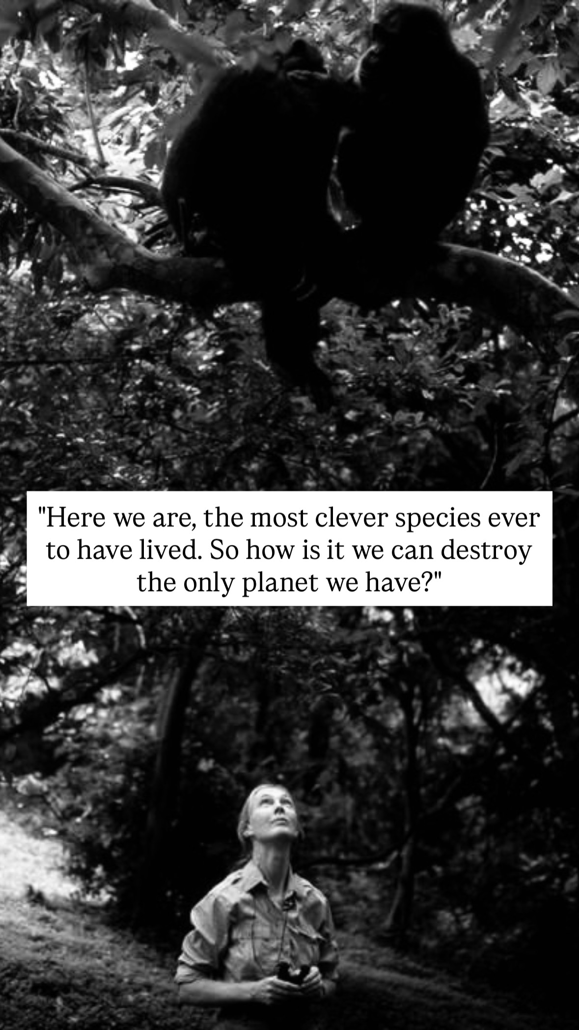 Photo of Jane Goodall