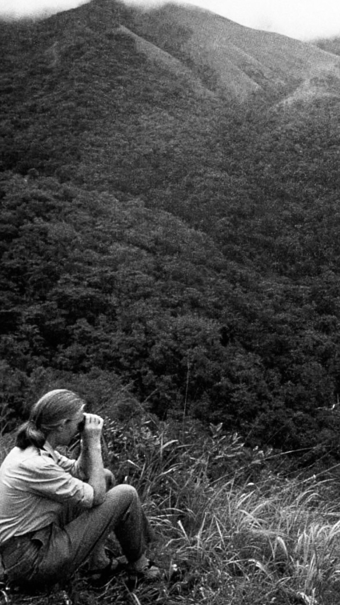 Photo of Jane Goodall